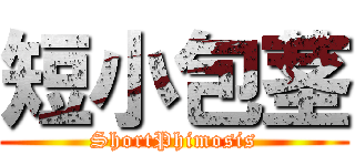 短小包茎 (ShortPhimosis)