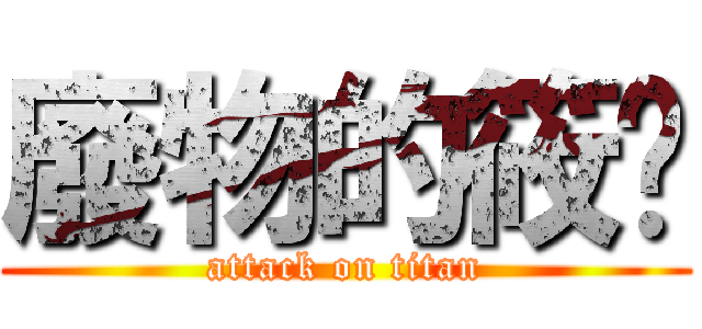 廢物的筱婷 (attack on titan)