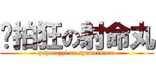 偷拍狂の射命丸 (paparazzi on syameimaru)