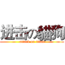 进击の貓狗 (attack on titan)