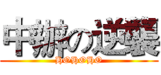 中辦の逆襲 (HOHOHO)