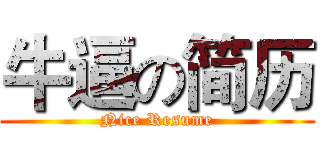 牛逼の简历 (Nice Resume)