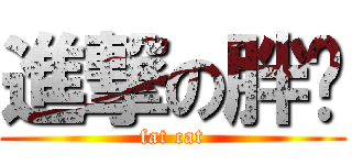 進撃の胖貓 (fat cat)