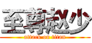 至尊赵少 (attack on titan)