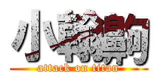 小翰齁 (attack on titan)