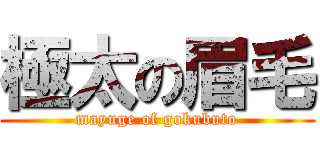 極太の眉毛 (mayuge of gokubuto)