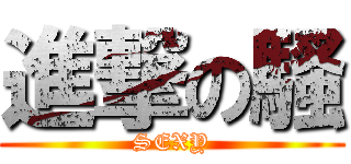 進撃の騷 (SEXY)