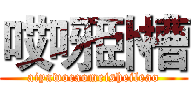哎呀卧槽 (aiyawocaomeisheileao)