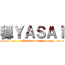 穏ＹＡＳＡＩ (Lantern fes)