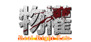 物權 (Real Right Law)