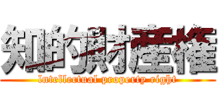 知的財産権 (lntellectual property right)