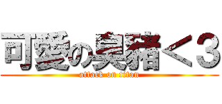 可愛の臭豬＜３ (attack on titan)