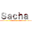 Ｓａｃｈａ  (Sacha)