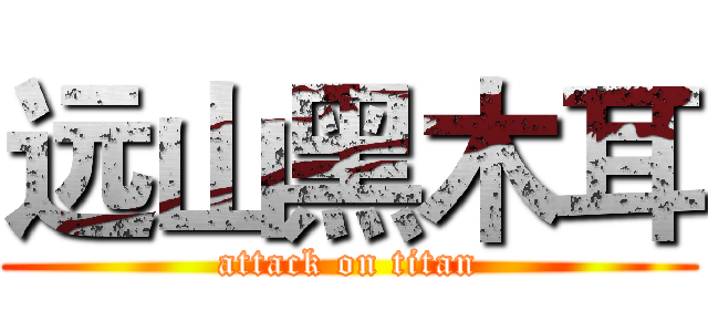 远山黑木耳 (attack on titan)