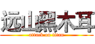 远山黑木耳 (attack on titan)