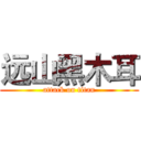 远山黑木耳 (attack on titan)