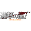 進撃の龍貓~ (attack on titan)