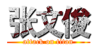 张文俊 (attack on titan)