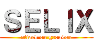 ＳＥＬＩＸ (attack on groudon)