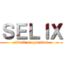 ＳＥＬＩＸ (attack on groudon)