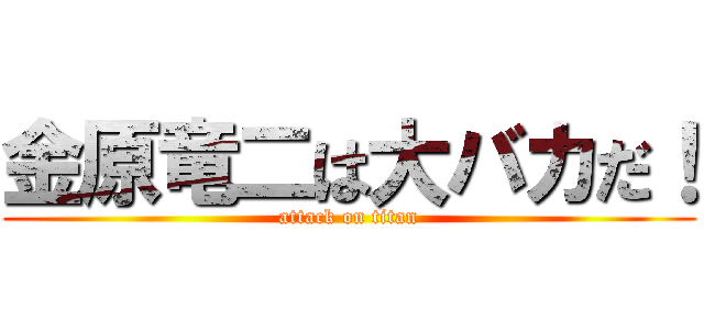 金原竜二は大バカだ！ (attack on titan)