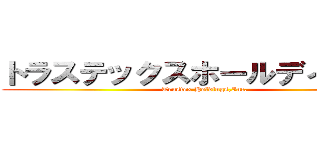 トラステックスホールディングス (Trustex Holdings,Inc.)