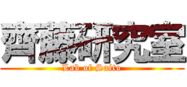 齊藤研究室 (Lab of Saito)