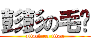 彭彭の毛鍊 (attack on titan)