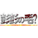 彭彭の毛鍊 (attack on titan)