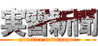 実習新聞 (practice newspaper)