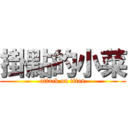 掛點的小菜 (attack on titan)