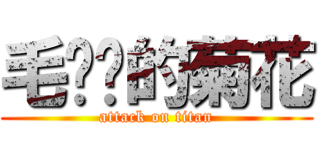 毛爷爷的菊花 (attack on titan)