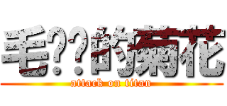 毛爷爷的菊花 (attack on titan)