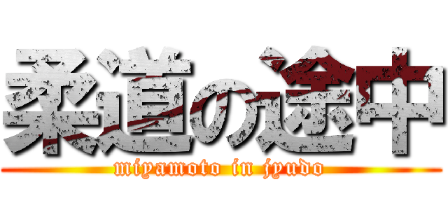 柔道の途中 (miyamoto in jyudo)