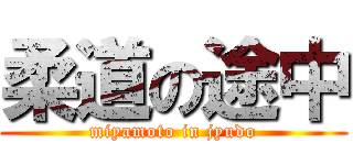 柔道の途中 (miyamoto in jyudo)