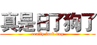 真是日了狗了 (really fuck dog)