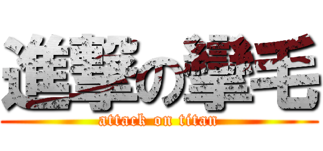 進撃の攣毛 (attack on titan)