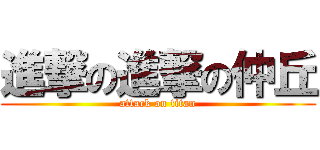 進撃の進撃の仲丘 (attack on titan)