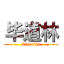 毕道林 (bidaolin)