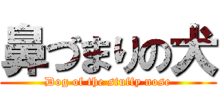 鼻づまりの犬 (Dog of the stuffy nose)