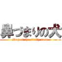 鼻づまりの犬 (Dog of the stuffy nose)