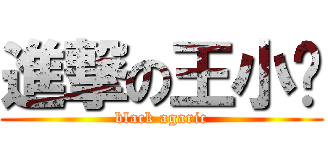 進撃の王小舔 (black agaric)