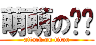 萌萌の貓咪 (attack on titan)
