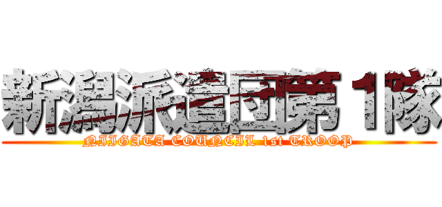 新潟派遣団第１隊 (NIIGATA COUNCIL 1st TROOP)