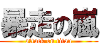 暴走の嵐 (attack on titan)
