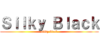 Ｓｉｌｋｙ Ｂｌａｃｋ (silky black)