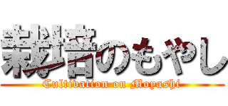 栽培のもやし (Cultivation on Moyashi)