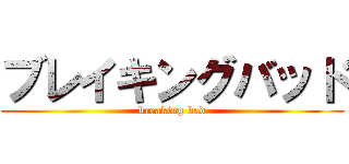 ブレイキングバッド (breaking bad)