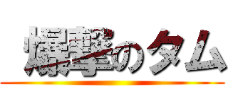 爆撃のタム ()