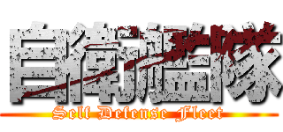 自衛艦隊 (Self Defense Fleet)